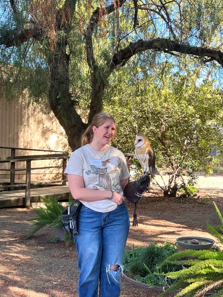 Visiting the UC Davis Raptor Center with Kids