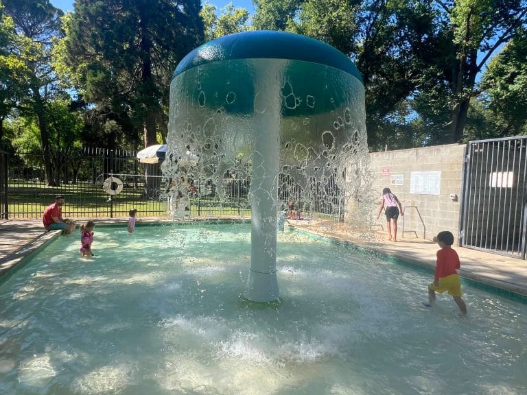 Best Free Things To Do in Sacramento with Kids in the Summer: Land Park Wading Pool
