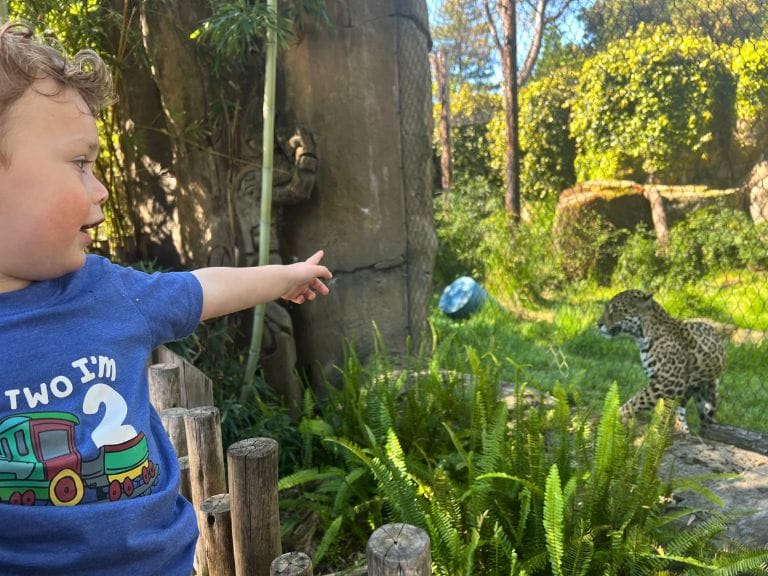 Best Things To Do with Kids in Sacramento: Sacramento Zoo | Photo by Sactown Supermom