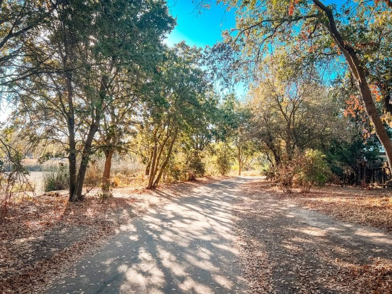 Family-Friendly Hiking Near Sacramento: Explore Del Meyer Park in Elk Grove with Kids