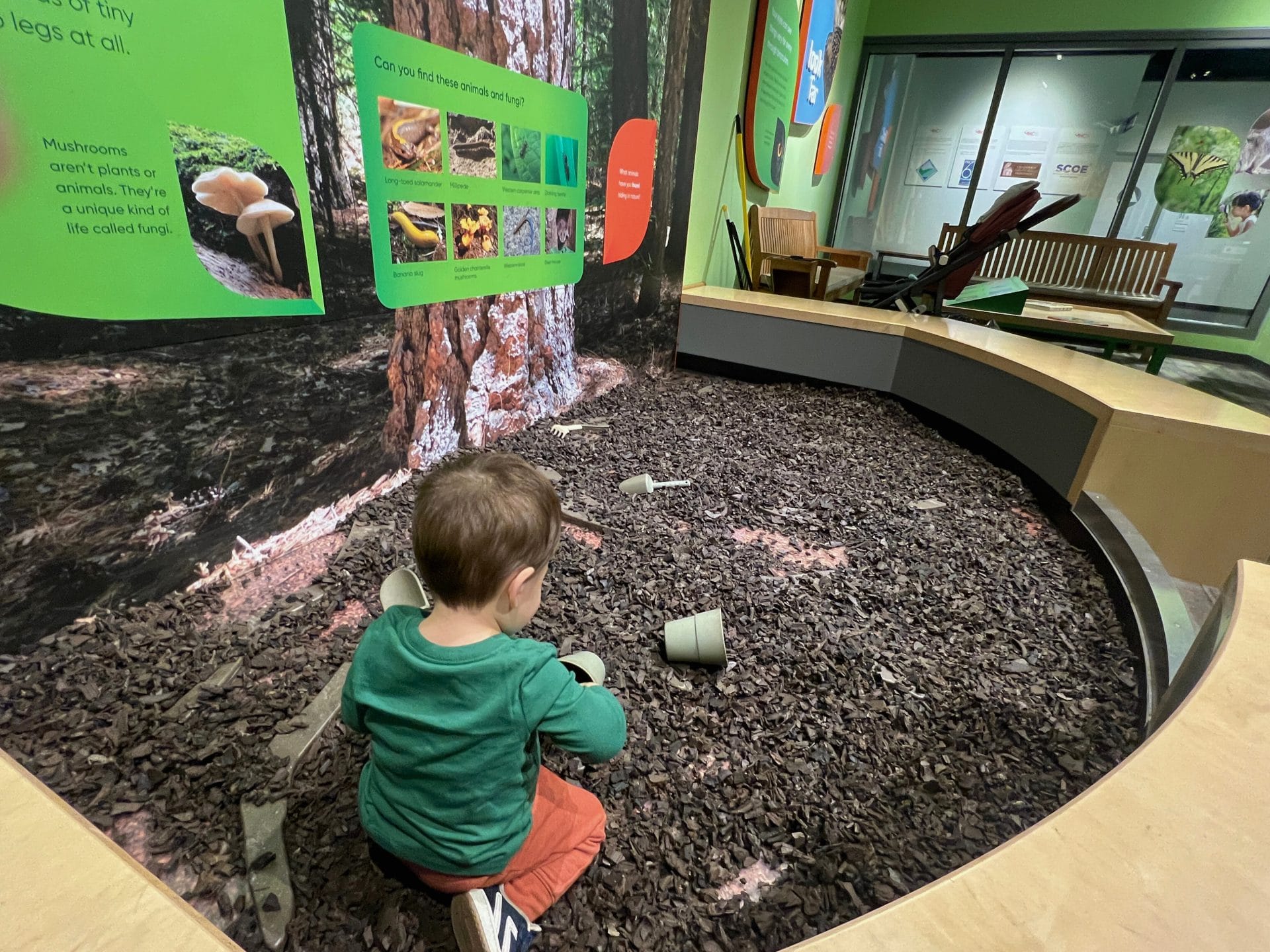 Dig into fun at the Nature Detectives exhibit at SMUD MOSAC in Sacramento