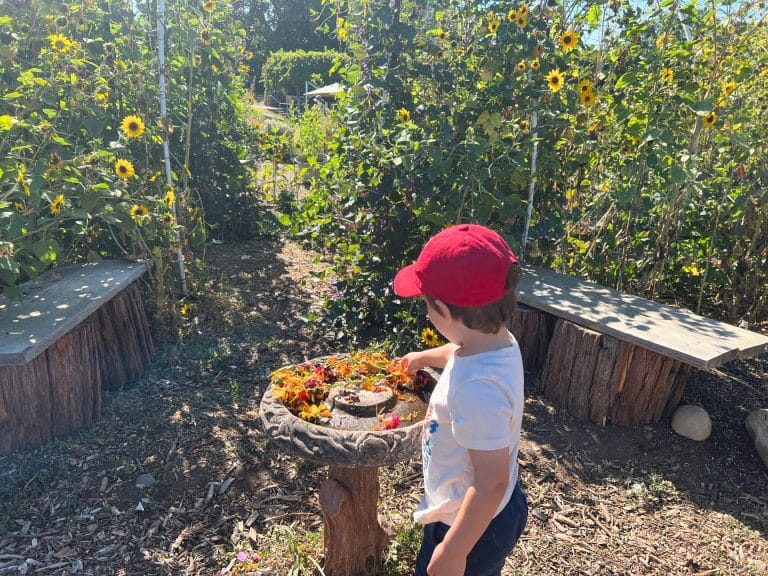 Best Spring Activities in Sacramento: Soil Born Farms