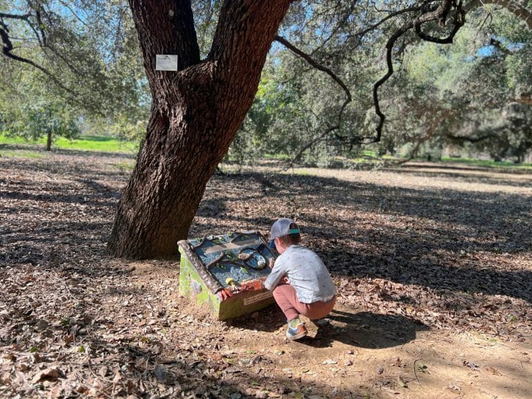 Spring Activities in Sacramento for Kids: UC Davis Arboretum in Davis