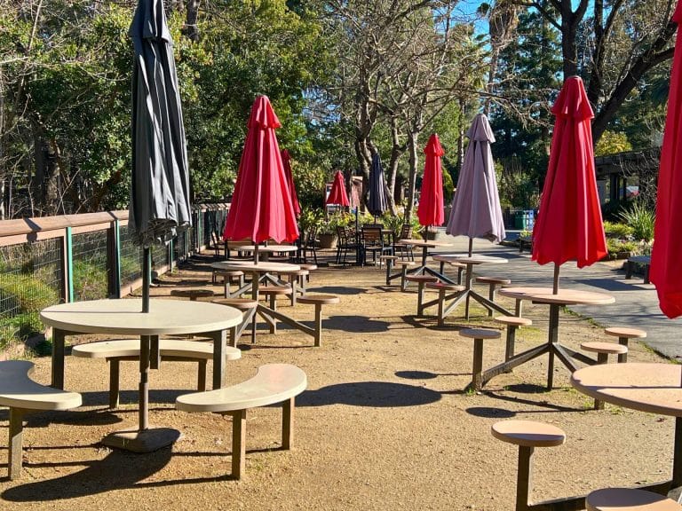 The Ultimate Guide to the Sacramento Zoo: Dining and Picnic Areas