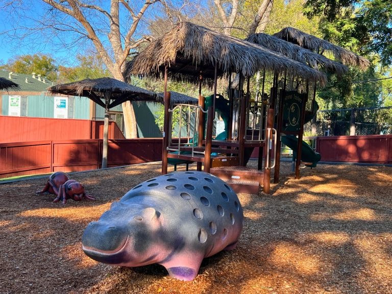 The Ultimate Guide to the Sacramento Zoo: Zoo Playground