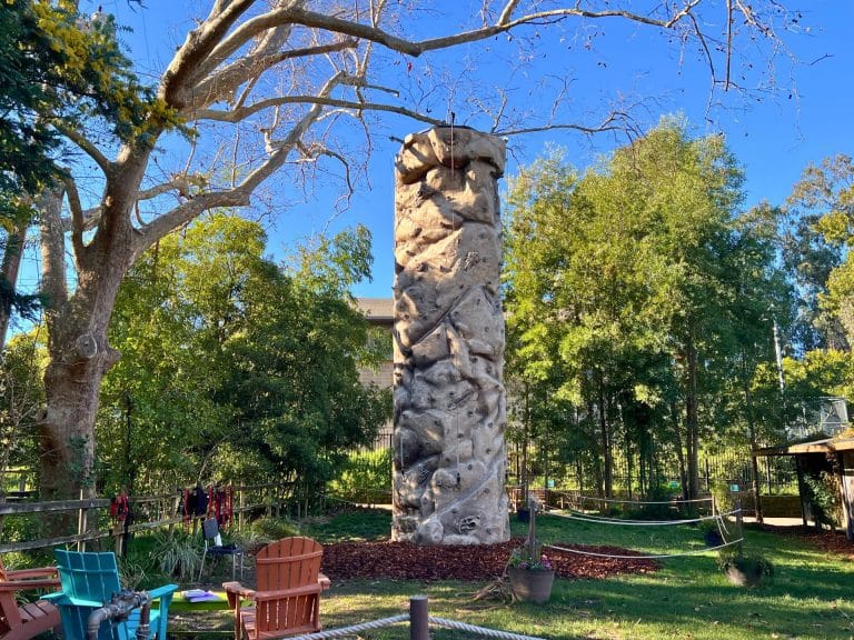 The Ultimate Guide to the Sacramento Zoo: Kilimanjaro Climb