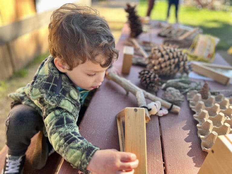 The Ultimate Guide to the Sacramento Zoo: Nature Explorers