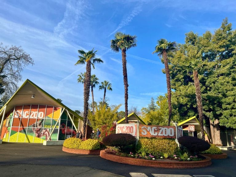 The Ultimate Guide to the Sacramento Zoo: Admission