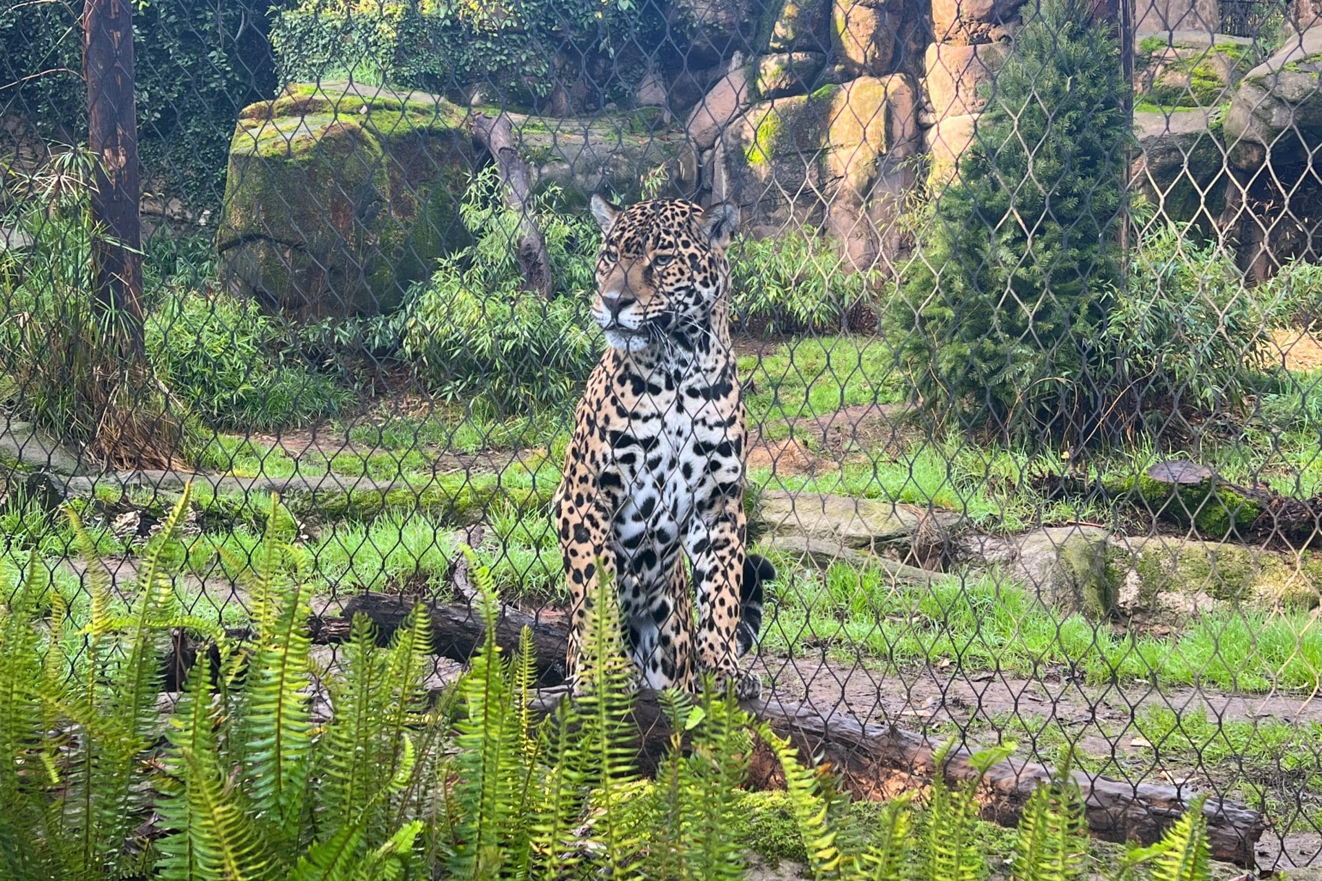 The Ultimate Guide to the Sacramento Zoo