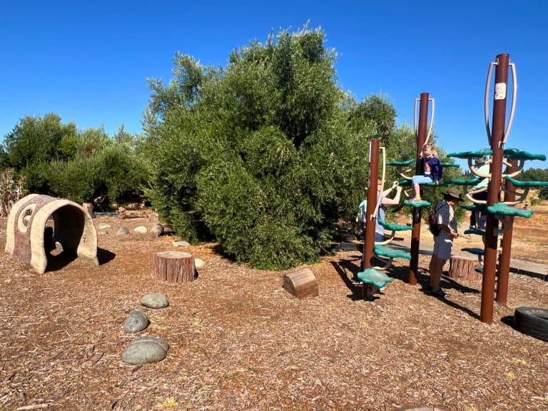 Fun Things To Do in Rancho Cordova with Kids: Soil Born Farms