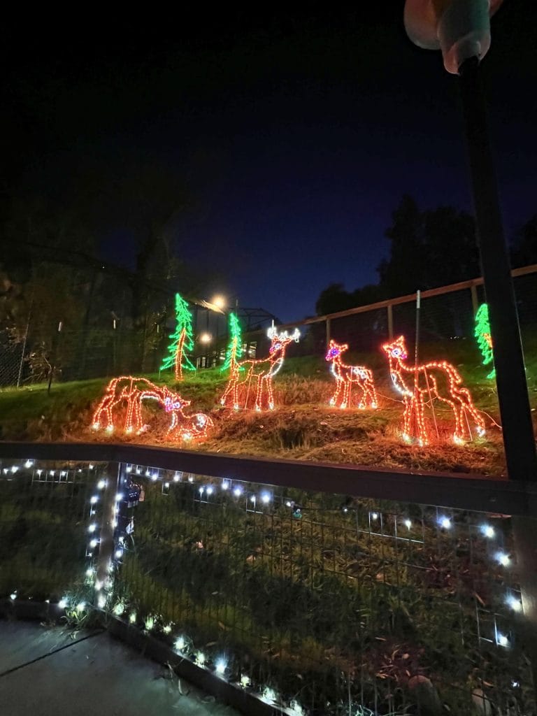 Folsom City Zoo Sanctuary: Wild Nights & Holiday Lights