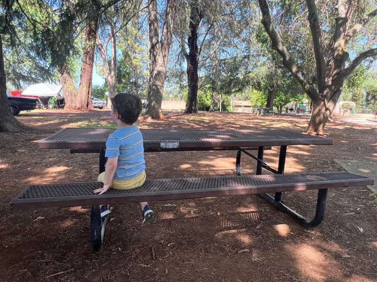 Folsom City Zoo Sanctuary: Picnic Tables in Folsom City Lions Park