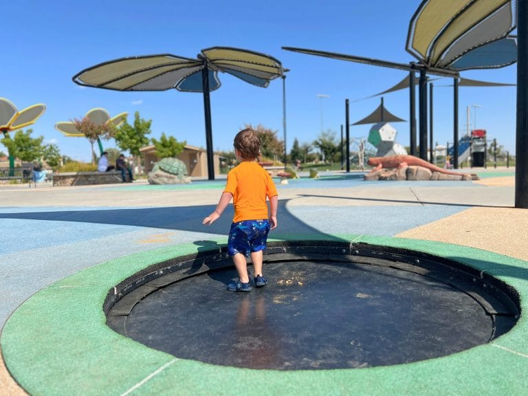Why Kids will Love Heron Landing Community Park in Rancho Cordova
