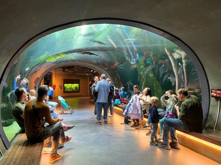 How to Use Your Sacramento Library Card to Get Into Museums for Free: California Academy of Sciences in San Francisco
