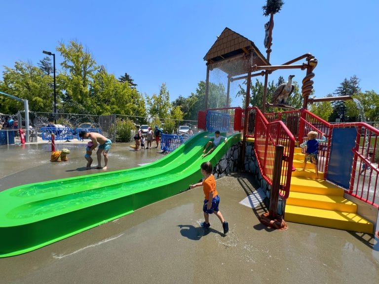 Larkey Park Sprayground in Walnut Creek: The Ultimate Splash Pad for Kids
