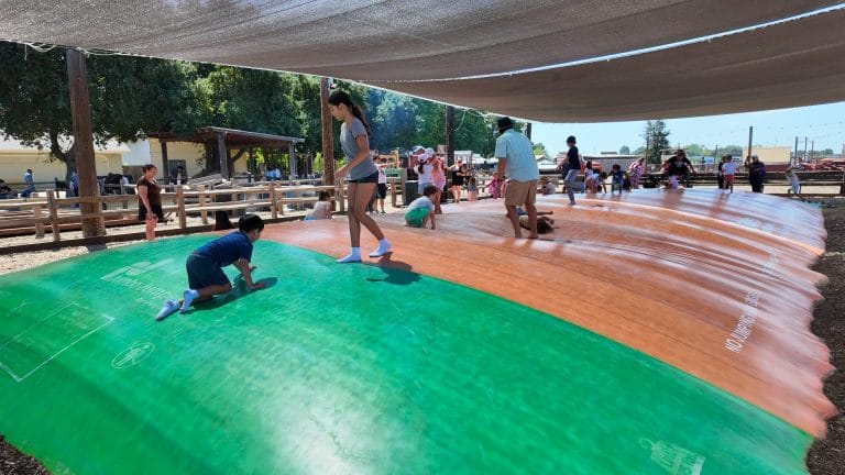 Best Pumpkin Patches in Sacramento: Jumping pillow at Dave's Pumpkin Patch