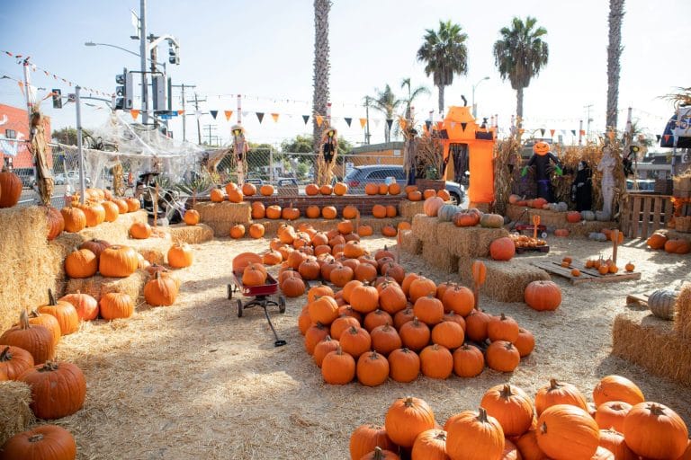 Sacramento Fall Festivals for Families