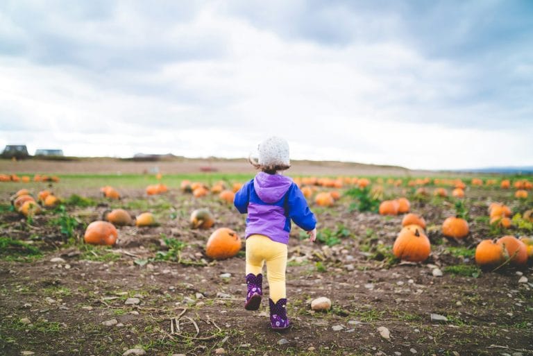 Best Pumpkin Patches in Sacramento for Families