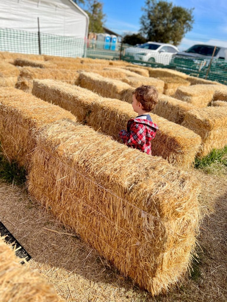 Best Fall Activities in Elk Grove for Families: Keema's Pumpkin Farm