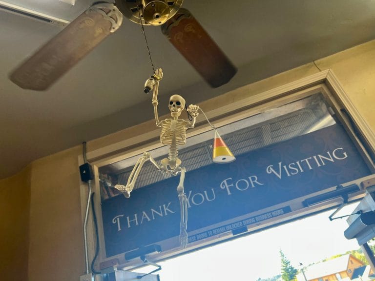 Snook's Dancing Skeleton Hunt in Folsom