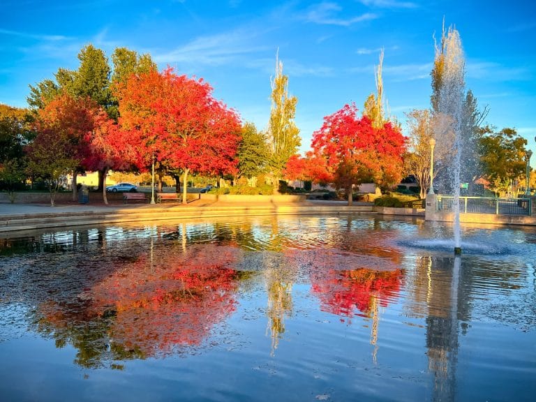 Best Fall Activities in Elk Grove for Families