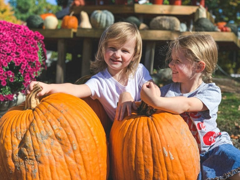 Best Things To Do This Weekend in Sacramento with Kids: Fall Festivals