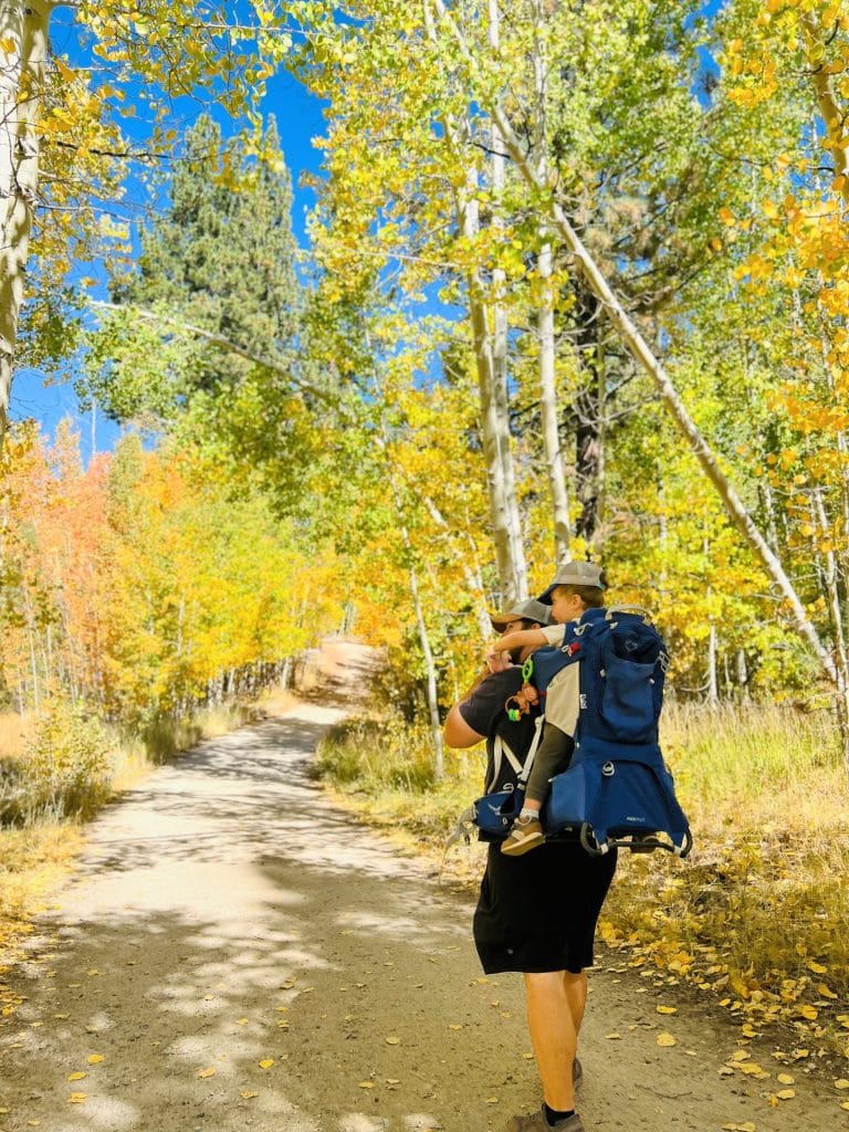 Fall Day Trip From Sacramento: Lake Tahoe with Kids