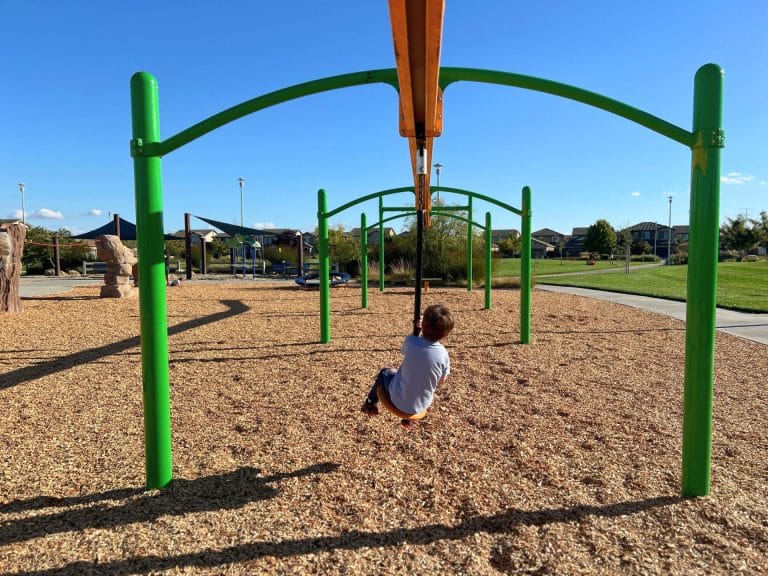 George Park in Elk Grove: Dinosaur-Themed Playground with zipline