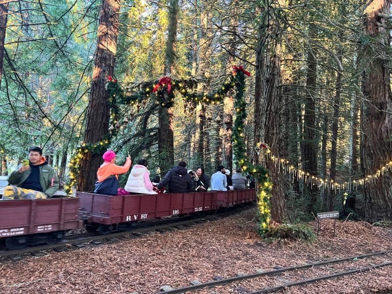 Winterfest at Tilden Park Steam Trains in Berkeley