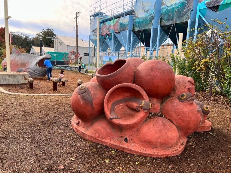 Nimbus Fish Hatchery Outdoor Play Area