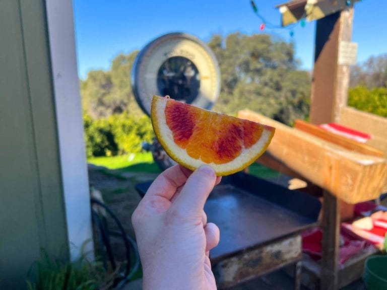 Blood oranges at Sunset Ridge Fine Fruits in Newcastle 