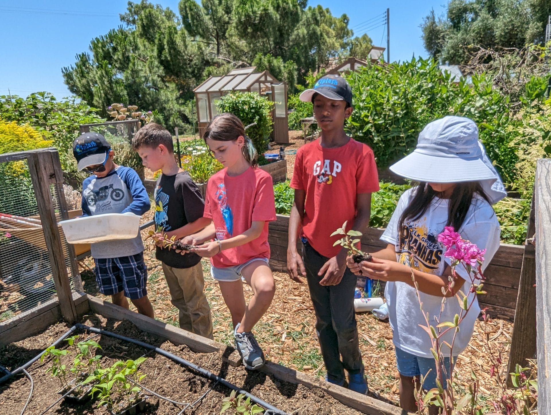 Free Summer Camp in Sacramento: YELC at Sacramento Splash