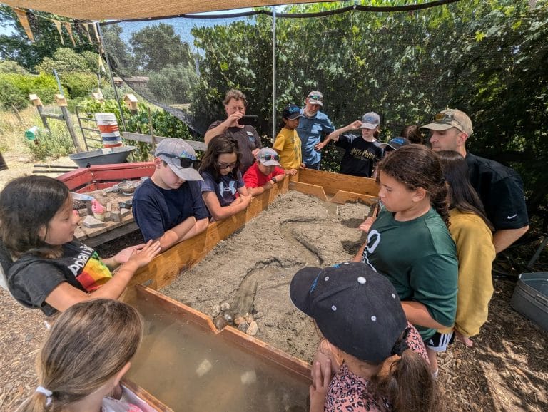 Free Summer Camp in Sacramento: YELC at Sacramento Splash