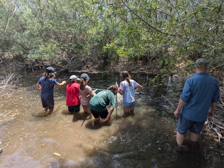 Free Summer Camp in Sacramento: YELC at Sacramento Splash