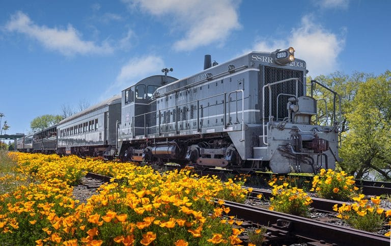 Spring Train Rides Near Sacramento Families will Love