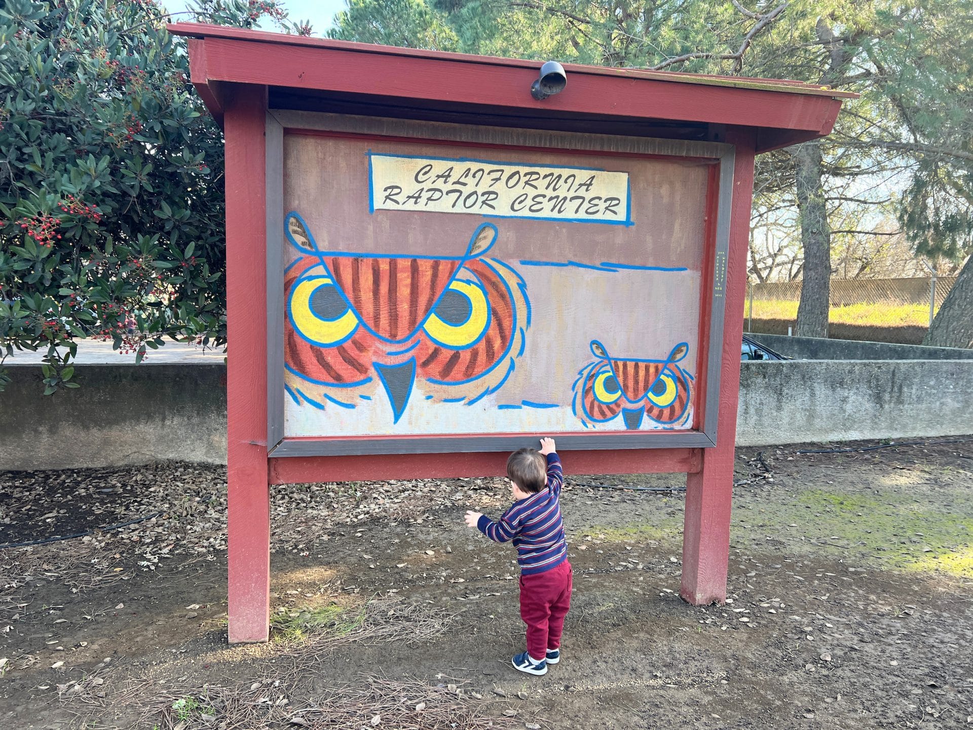 Visiting the California Raptor Center with Kids