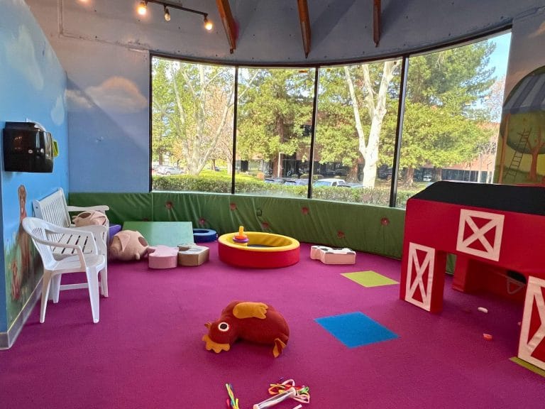 A Guide to the Sacramento Children's Museum in Rancho Cordova: Baby Area