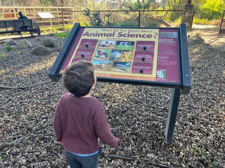 UC Davis Arboretum with Kids: Animal Science GATEway 