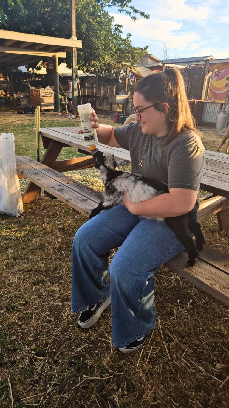 Free Summer Camp in Sacramento: LEAP at Only Sunshine Sanctuary