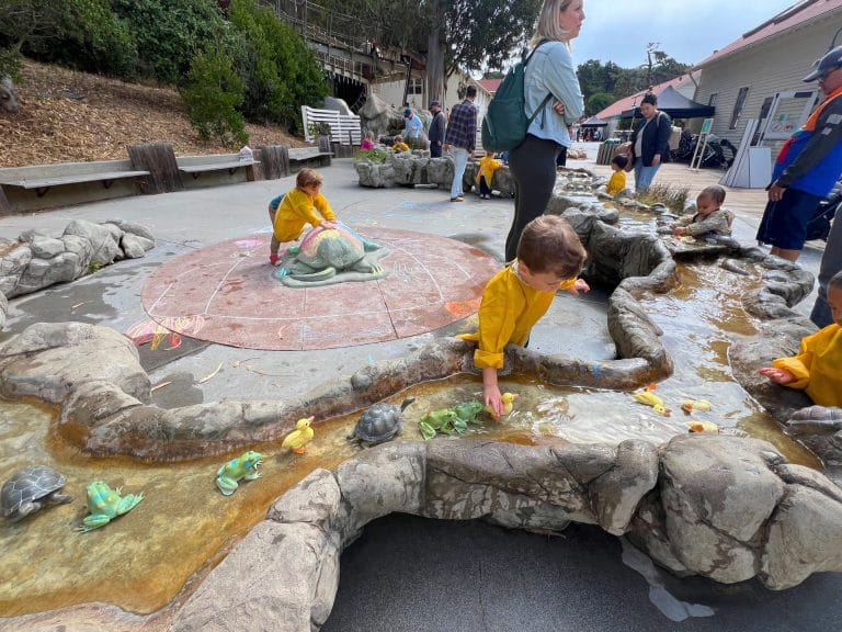 Children's Museums near Sacramento with Water Play: Bay Area Discovery Museum