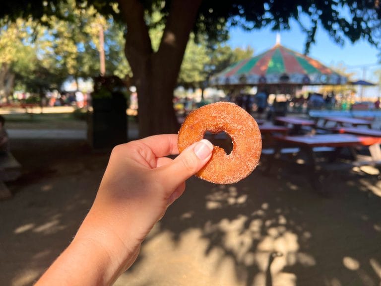 Bishop's Pumpkin Farm: Apple Cider Donuts