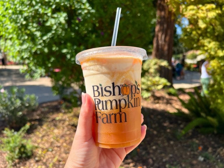 Bishop's Pumpkin Farm: Apple Cider Slushie