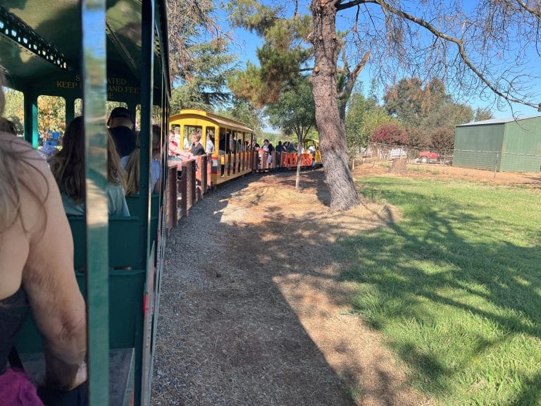 Bishop's Pumpkin Farm: Train Ride