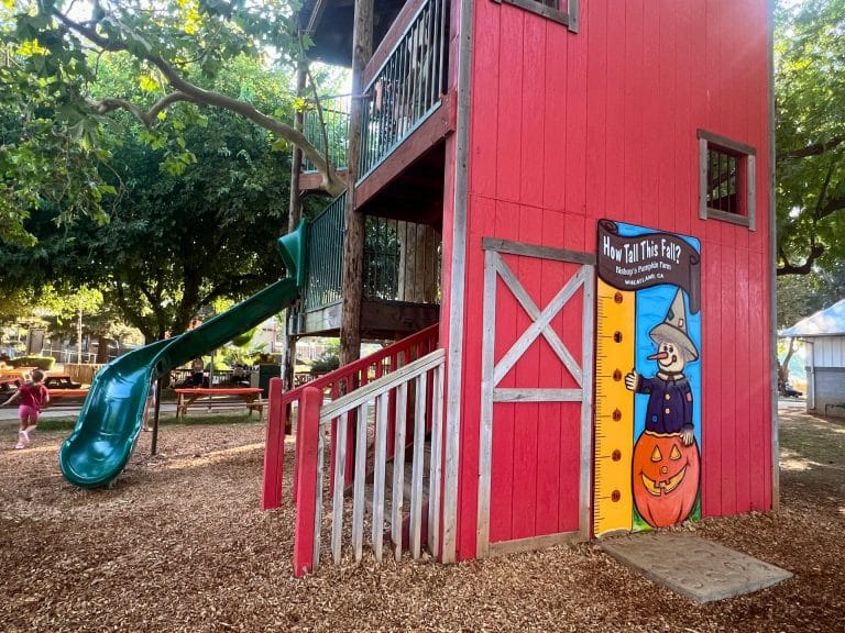 Bishop's Pumpkin Farm: Free Play Areas