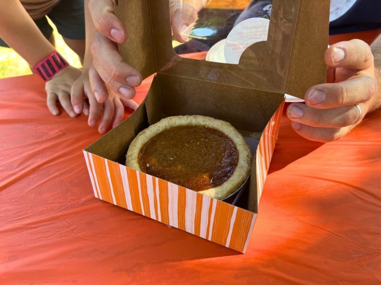 Bishop's Pumpkin Farm: Mini Pumpkin Pie