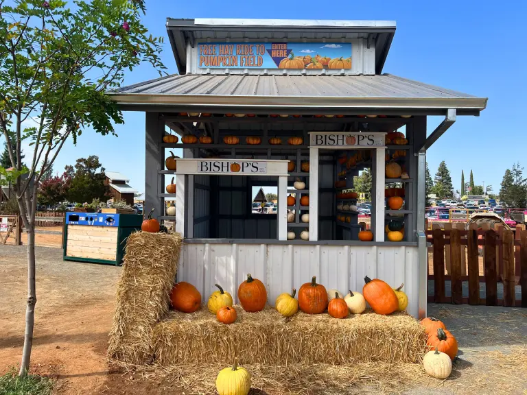 Bishop's Pumpkin Farm Ultimate Guide