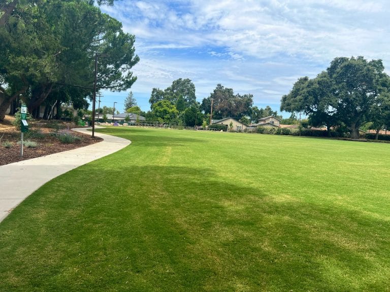 Westacre Park in West Sacramento: Grassy area