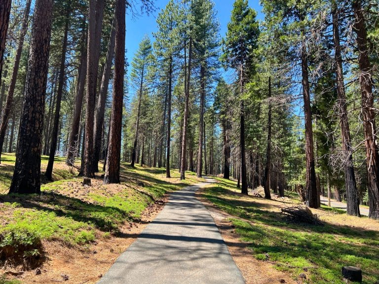The Cedar Park Trail in Pollock Pines is very family-friendly. 