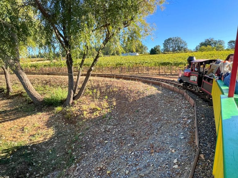 El Dorado Orchards has the only real train ride in Apple Hill. 