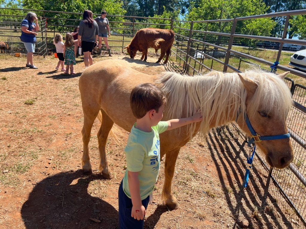 Petting Zoo at Pine-O-Mine Ranch at Apple Hill. 